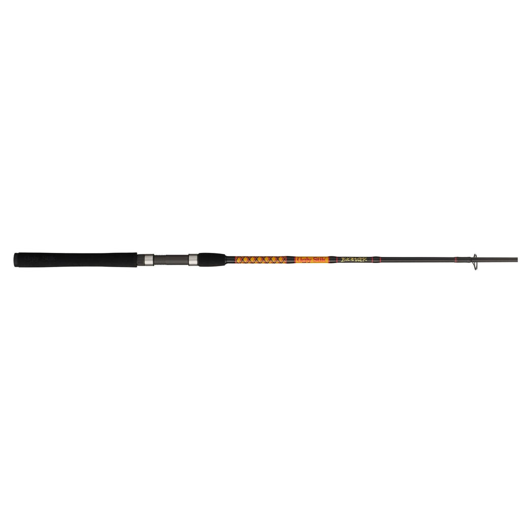 Bigwater Spinning Rod