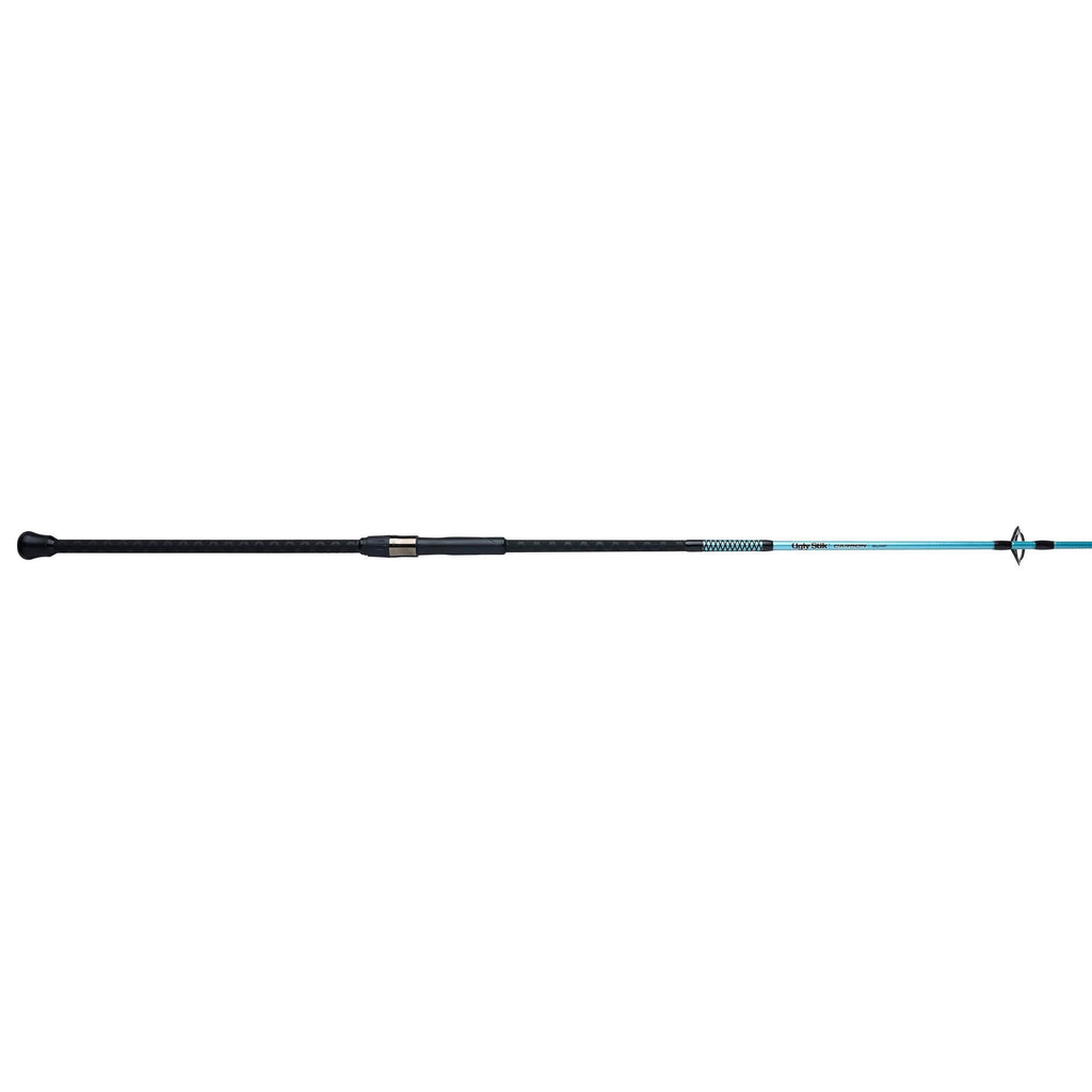 Carbon Surf Spinning Rod