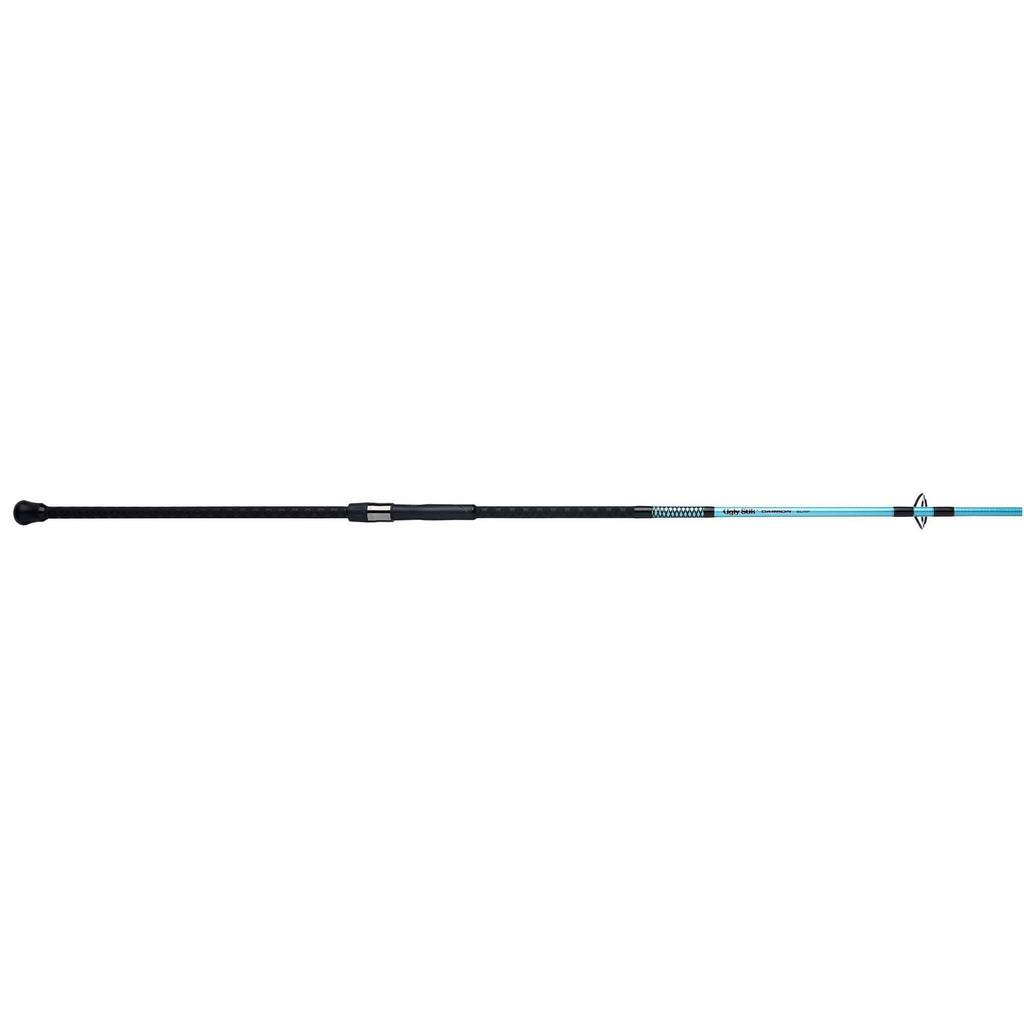 Carbon Surf Spinning Rod